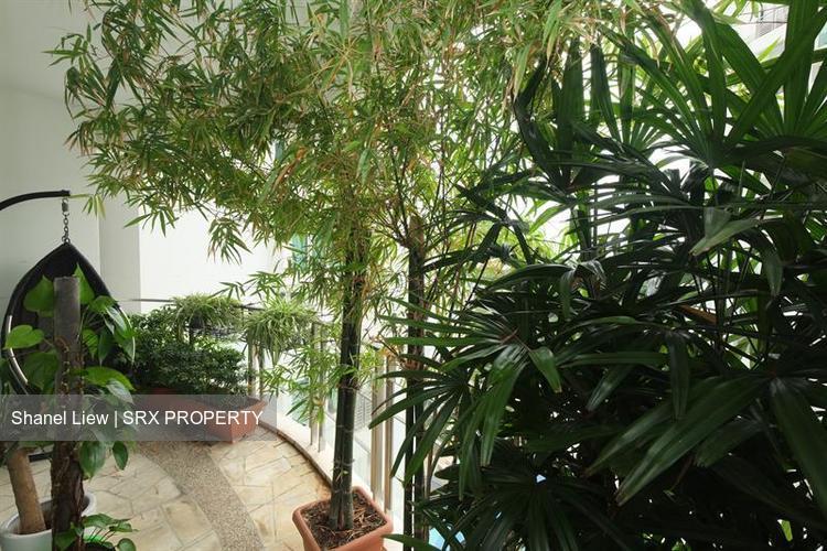 Cote D'Azur (D15), Condominium #195111112